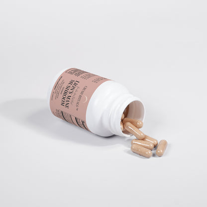 Lion's Mane Mushroom - neasysspecialtease